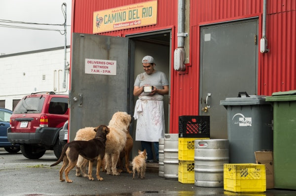 Die unglaublichen Abenteuer von Bella (DVD) – Bild 2– JETZT KAUFEN BEI GLACIER GAMES .at