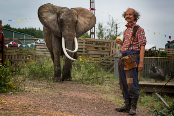 Liliane Susewind - Ein tierisches Abenteuer (DVD) – Bild 4– JETZT KAUFEN BEI GLACIER GAMES .at