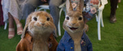 Peter Hase 2 - Ein Hase macht sich vom Acker (Blu-ray) – Bild 5– JETZT KAUFEN BEI GLACIER GAMES .at
