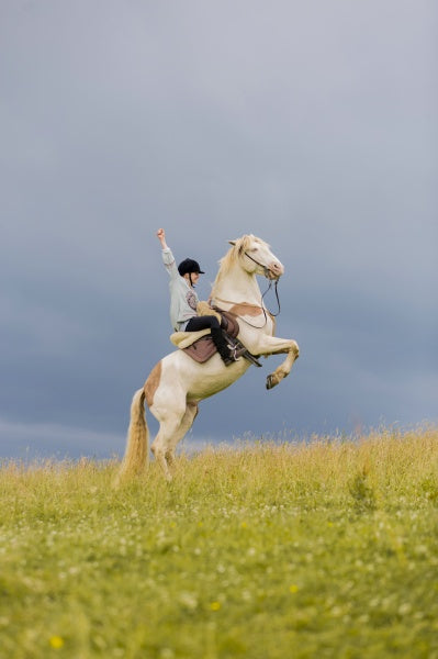 Wendy - Der Film (DVD) – Bild 6– JETZT KAUFEN BEI GLACIER GAMES .at