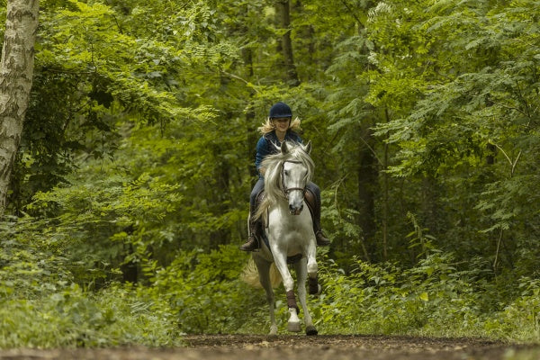 Wendy 2 - Freundschaft für immer (DVD) – Bild 4– JETZT KAUFEN BEI GLACIER GAMES .at