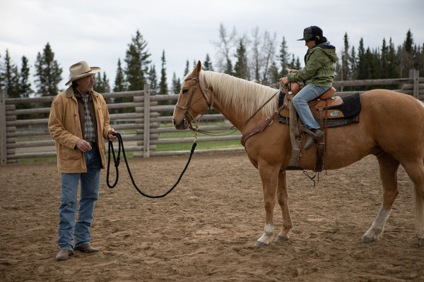 Heartland - Paradies für Pferde, Staffel 13 (Neuauflage) (4 DVDs)