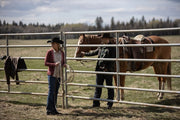 Heartland - Paradies für Pferde, Staffel 13 (Neuauflage) (4 DVDs) – Bild 5– JETZT KAUFEN BEI GLACIER GAMES .at