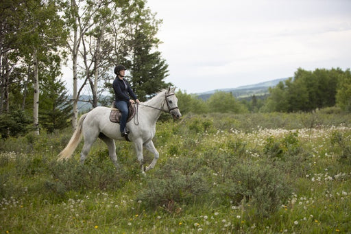 Heartland - Paradies für Pferde, Staffel 13 (Neuauflage) (4 DVDs) – Bild 2– JETZT KAUFEN BEI GLACIER GAMES .at
