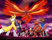 Digimon Tamers: Volume 1.1 (Ep 1-17) (2 Blu-rays) – Bild 4– JETZT KAUFEN BEI GLACIER GAMES .at