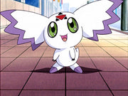 Digimon Tamers: Volume 1.1 (Ep 1-17) (2 Blu-rays) – Bild 2– JETZT KAUFEN BEI GLACIER GAMES .at