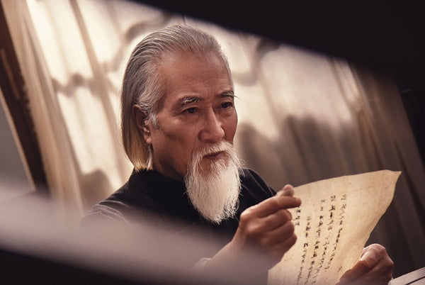 Ip Man: The Awakening (Blu-ray) – Bild 4– JETZT KAUFEN BEI GLACIER GAMES .at