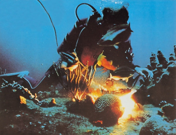 Die Tiefe (Blu-ray) – Bild 5– JETZT KAUFEN BEI GLACIER GAMES .at