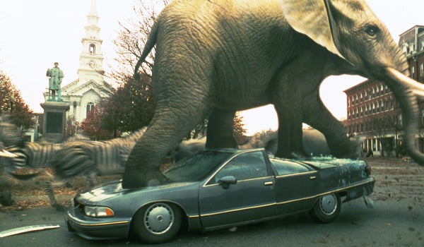 Jumanji (4K-UHD) – Bild 5– JETZT KAUFEN BEI GLACIER GAMES .at