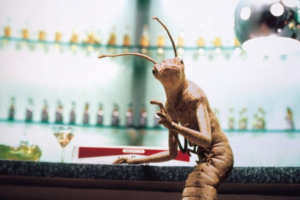 Men in Black 2 (4K-UHD) – Bild 6– JETZT KAUFEN BEI GLACIER GAMES .at