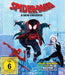 Spider-Man: A New Universe (Blu-ray)– JETZT KAUFEN BEI GLACIER GAMES .at