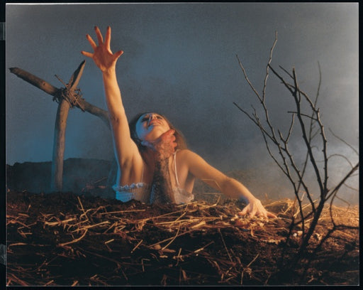 Tanz der Teufel 1 (2 Blu-rays) – Bild 2– JETZT KAUFEN BEI GLACIER GAMES .at