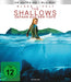 The Shallows - Gefahr aus der Tiefe (4K-UHD+Blu-ray)– JETZT KAUFEN BEI GLACIER GAMES .at
