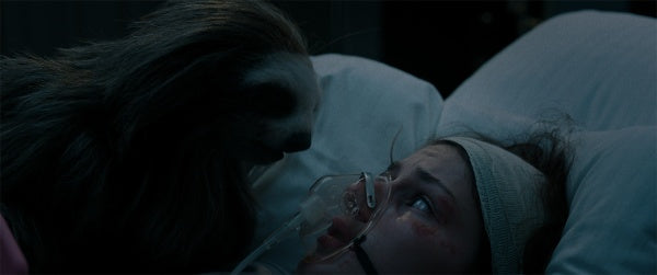 Slotherhouse - Ein Faultier zum Fürchten (DVD) – Bild 2– JETZT KAUFEN BEI GLACIER GAMES .at