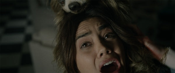 Slotherhouse - Ein Faultier zum Fürchten (Blu-ray) – Bild 6– JETZT KAUFEN BEI GLACIER GAMES .at