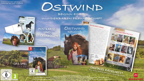 Ostwind: Beginn einer wunderbaren Freundschaft (Code in a Box) (Switch)