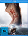 Das 13. Zeichen (Blu-ray)– JETZT KAUFEN BEI GLACIER GAMES .at