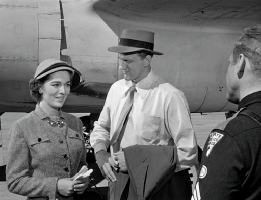 Formicula (Creature Feature Collection #9) (DVD) – Bild 2– JETZT KAUFEN BEI GLACIER GAMES .at