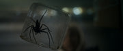 Spiders - Ihr Biss ist der Tod (DVD) – Bild 3– JETZT KAUFEN BEI GLACIER GAMES .at