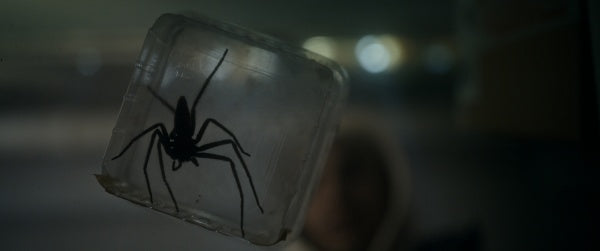 Spiders - Ihr Biss ist der Tod (Blu-ray) – Bild 3– JETZT KAUFEN BEI GLACIER GAMES .at