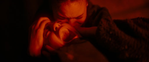 Spiders - Ihr Biss ist der Tod (Blu-ray) – Bild 2– JETZT KAUFEN BEI GLACIER GAMES .at