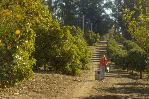 Der magische Zitronenbaum - Wenn Liebe glücklich macht! (DVD) – Bild 2– JETZT KAUFEN BEI GLACIER GAMES .at