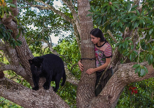 Ella und der schwarze Jaguar (DVD) – Bild 2– JETZT KAUFEN BEI GLACIER GAMES .at