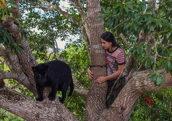 Ella und der schwarze Jaguar (DVD) – Bild 2– JETZT KAUFEN BEI GLACIER GAMES .at