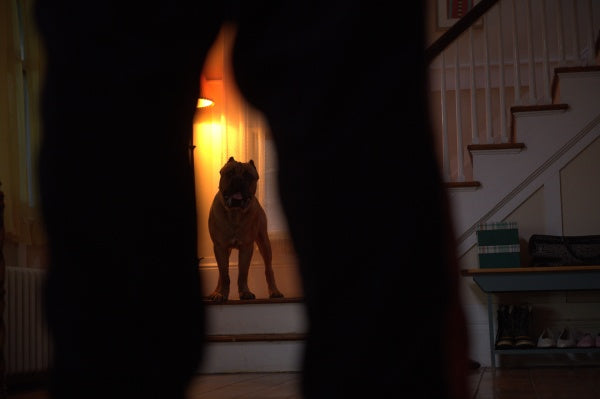 Becky 2 - She's Back (4K-UHD+Blu-ray) – Bild 3– JETZT KAUFEN BEI GLACIER GAMES .at