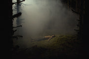 Daydreams (Blu-ray) – Bild 3– JETZT KAUFEN BEI GLACIER GAMES .at