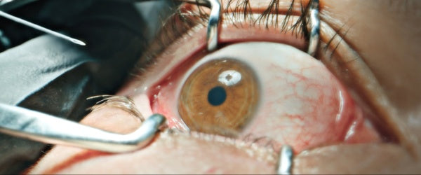 Forbidden Floor - The Home (DVD) – Bild 5– JETZT KAUFEN BEI GLACIER GAMES .at