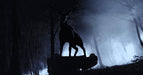 Bambi: The Reckoning (Limitiertes Steelbook, 4K-UHD+Blu-ray) – Bild 4– JETZT KAUFEN BEI GLACIER GAMES .at
