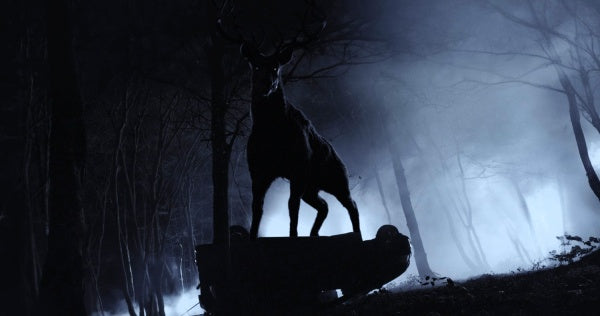 Bambi: The Reckoning (Limitiertes Steelbook, 4K-UHD+Blu-ray) – Bild 4– JETZT KAUFEN BEI GLACIER GAMES .at
