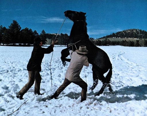 Missouri (Edition Western-Legenden #63) (DVD) – Bild 2– JETZT KAUFEN BEI GLACIER GAMES .at