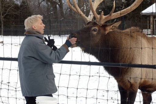 Chantilly Bridge - Einige Freundschaften bleiben ein Leben lang (DVD) – Bild 2– JETZT KAUFEN BEI GLACIER GAMES .at