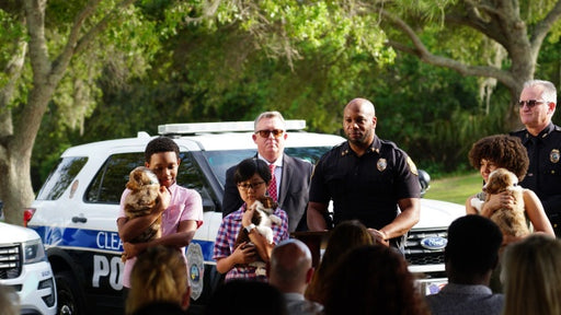 Tierische Detektive - Drei Kids und ihr grösster Fall (DVD) – Bild 2– JETZT KAUFEN BEI GLACIER GAMES .at