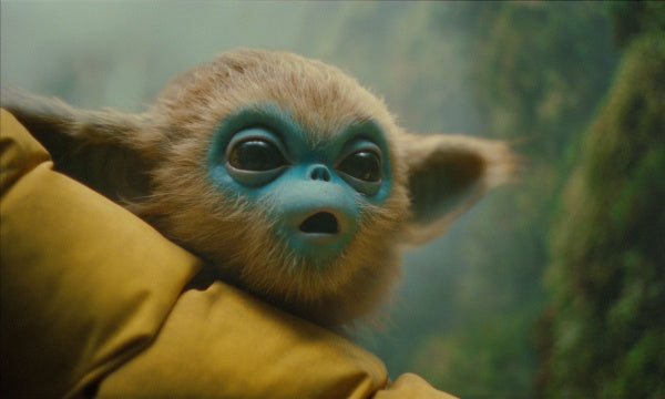 Die Legende von Ochi (Mediabook, 4K-UHD+Blu-ray) – Bild 3– JETZT KAUFEN BEI GLACIER GAMES .at