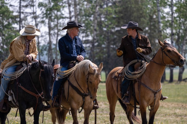 Heartland - Paradies für Pferde, Staffel 17 (3 DVDs) – Bild 4– JETZT KAUFEN BEI GLACIER GAMES .at