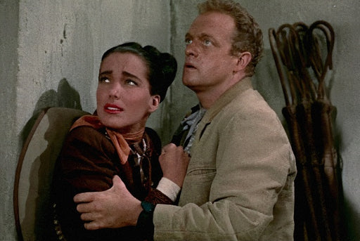 Der letzte Rebell (Blu-ray) – Bild 2– JETZT KAUFEN BEI GLACIER GAMES .at