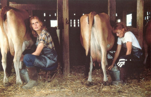 Eine Klasse für sich (4K-UHD+Blu-ray) – Bild 2– JETZT KAUFEN BEI GLACIER GAMES .at