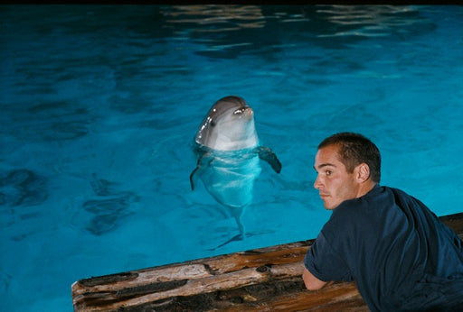 Im Rausch der Tiefe (Limitiertes Steelbook, 2 4K-UHD+2 Blu-rays) – Bild 2– JETZT KAUFEN BEI GLACIER GAMES .at