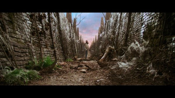 Die Reise ins Labyrinth (Steelbook, 4K-UHD+2 Blu-rays)