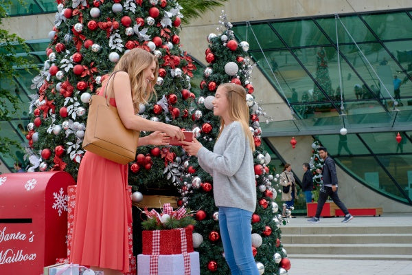 Mein Schwarm zu Weihnachten (DVD) – Bild 4– JETZT KAUFEN BEI GLACIER GAMES .at