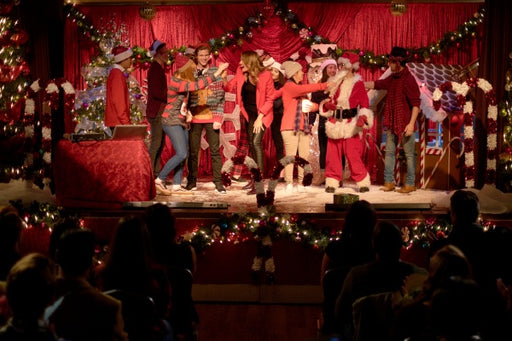 Mein Schwarm zu Weihnachten (DVD) – Bild 2– JETZT KAUFEN BEI GLACIER GAMES .at