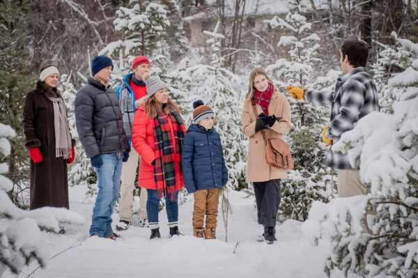 Küsse unterm Weihnachtsbaum (DVD) – Bild 6– JETZT KAUFEN BEI GLACIER GAMES .at