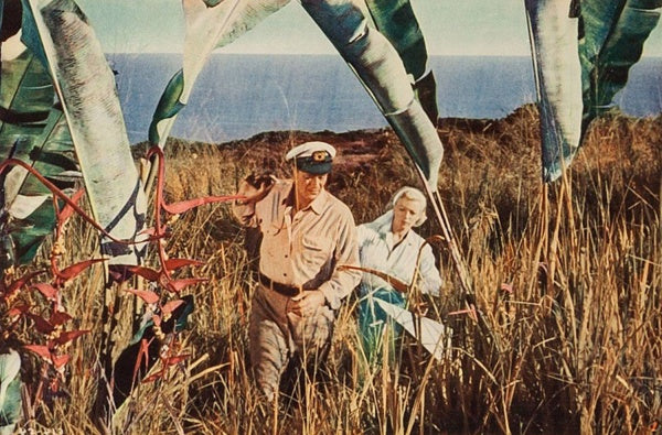 Der Seefuchs (Mediabook, Blu-ray+DVD) – Bild 3– JETZT KAUFEN BEI GLACIER GAMES .at