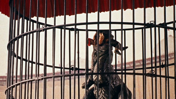 Gwangis Rache (Creature Feature Collection #11) (DVD) – Bild 3– JETZT KAUFEN BEI GLACIER GAMES .at