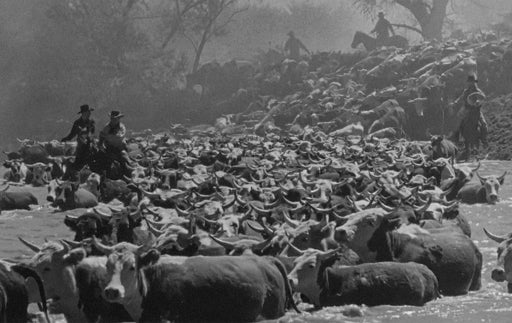 Kampf ohne Gnade (DVD) – Bild 2– JETZT KAUFEN BEI GLACIER GAMES .at