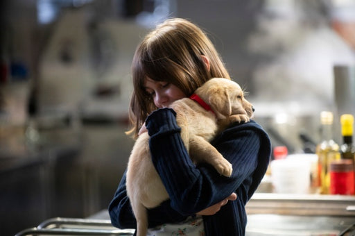 Weihnachten wie noch nie (DVD) – Bild 2– JETZT KAUFEN BEI GLACIER GAMES .at