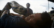 Anaconda (Blu-ray) – Bild 4– JETZT KAUFEN BEI GLACIER GAMES .at